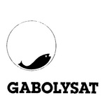 GABOLYSAT