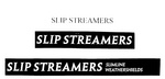 SLIP STREAMERS ; SLIP STREAMERS SLIMLINE WEATHERSHIELDS