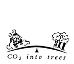 CO2 INTO TREES