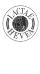 LACTAE HEVEA