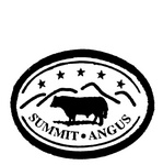 SUMMIT ANGUS