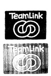 TEAMLINK