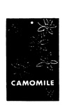 CAMOMILE