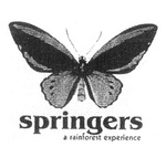 SPRINGERS  A RAINFOREST EXPERIENCE