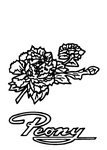 PEONY