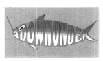 DOWNUNDER