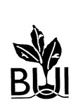 BUI