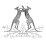 KAKADU