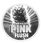 GREVILLEA PINK FLUSH