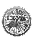 BRACTEANTHA HIGH NOON