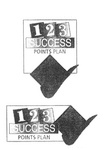 123 SUCCESS POINTS PLAN