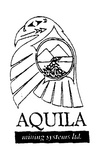 AQUILA  MINING SYSTEMS LTD.