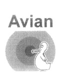 AVIAN