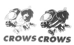 CROWS A