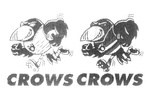 CROWS A