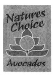 NATURES CHOICE AVOCADOS