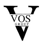 V VOS GROUP