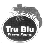 TRU BLU PRAWN FARMS