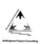 BELLINGHAM PROJECT CONSULTING   MANAGING PROJECTS THAT MATTER