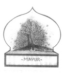 MAYUR