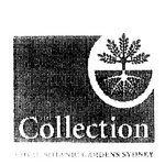 COLLECTION ROYAL BOTANIC GARDENS SYDNEY