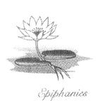 EPIPHANIES