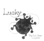 LUCKY THE RED CROSS LADYBIRD