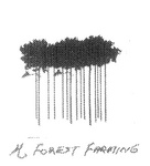 M FOREST FARMING