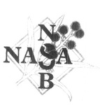 NASA  NSB