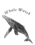 WHALE WATCH