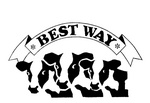 BEST WAY