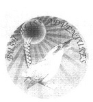 BUSH BLISS ADVENTURES