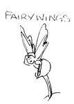FAIRY WINGS