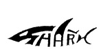SHARK
