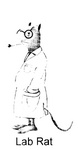LAB RAT