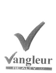 V VANGLEUR REALTY PTY LTD
