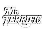 MR. TERRIFIC