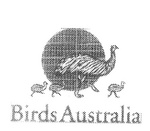 BIRDS AUSTRALIA