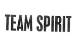 TEAM SPIRIT