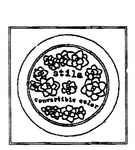 STILA CONVERTIBLE COLOR