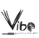VIBE AMPLIFYING THE ARTS
