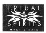 TRIBAL SPIRITS MYSTIC RAIN