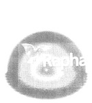 RAPHA