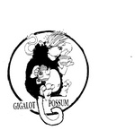 GIGALOT POSSUM