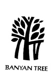 BANYAN TREE T Y V