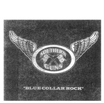 SOUTHERN GUNS BLUE COLLAR ROCK
