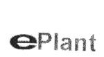 EPLANT