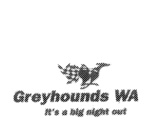 GREYHOUNDS WA IT'S A BIG NIGHT OUT GREYHOUNDS WA IT'S A BIG NIGHT OUT