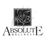 ABSOLUTE WELLNESS