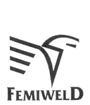 FEMIWELD